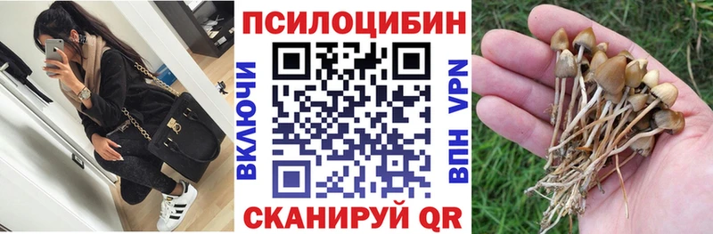 Купить закладки  Калачинск  Псилоцибиновые грибы GOLDEN TEACHER 